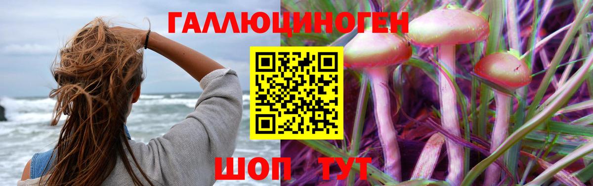 Галлюциногенные грибы GOLDEN TEACHER  Вход с VPN  Карачаевск 