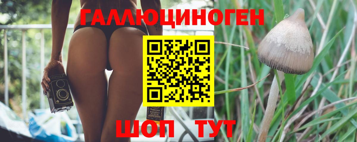 Псилоцибиновые грибы ЛСД Карачаевск